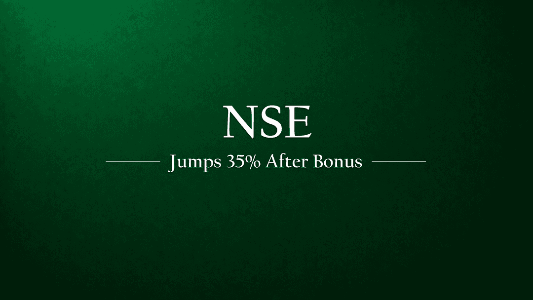 NSE Share Price Jumps 35% after Bonus Share and Dividend