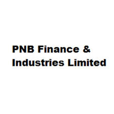 PNB Finance & Industries Limited logo