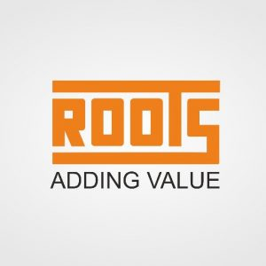 Roots Multiclean Limited Unlisted Share logo