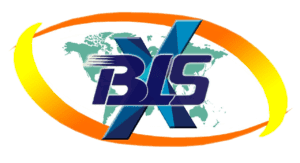 BLSX Limited logo