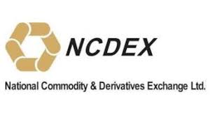 National Commodity & Derivatives Exchange (NCDEX) Limited Unlisted Shares logo