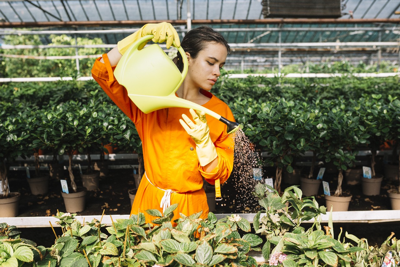 Indian Potash Limited — Detailed Annual Report analysis (FY24-25)